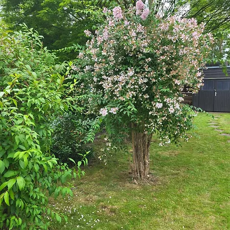 בית נופש Haus Am Wiek